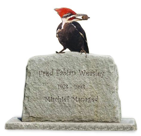 Fred Fabian Weasley, 1978 - 1998, Mischief Managed!